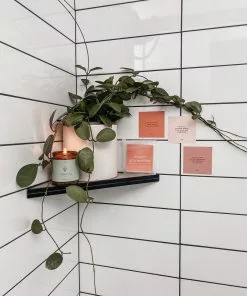 JaxKelly Shower Affirmation Cards